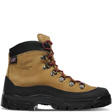 Bottes Randonnée Danner Crater Rim Homme Marron | FR1513IS