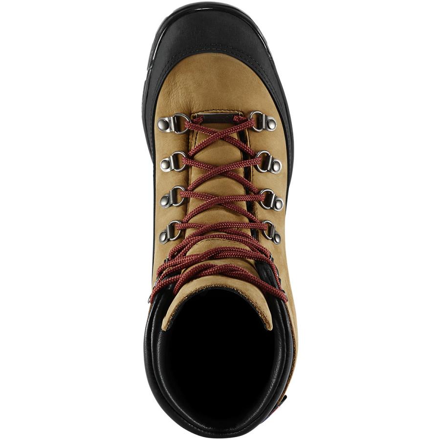 Bottes Randonnée Danner Crater Rim Homme Marron | FR1513IS