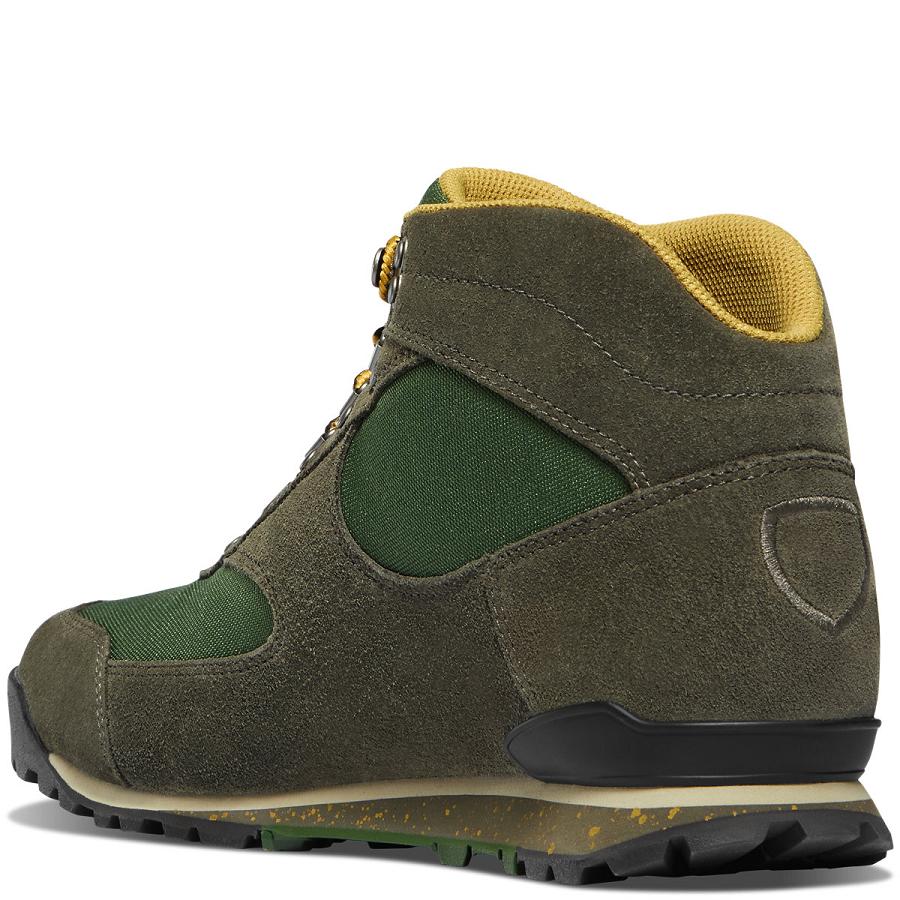 Bottes Randonnée Danner Jag OR State Parks Centennial Homme Vert Olive | FR1477BC