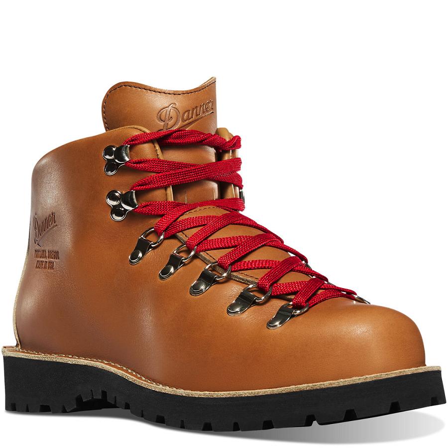 Bottes Randonnée Danner Mountain Light Cascade Homme Marron | FR1469HK