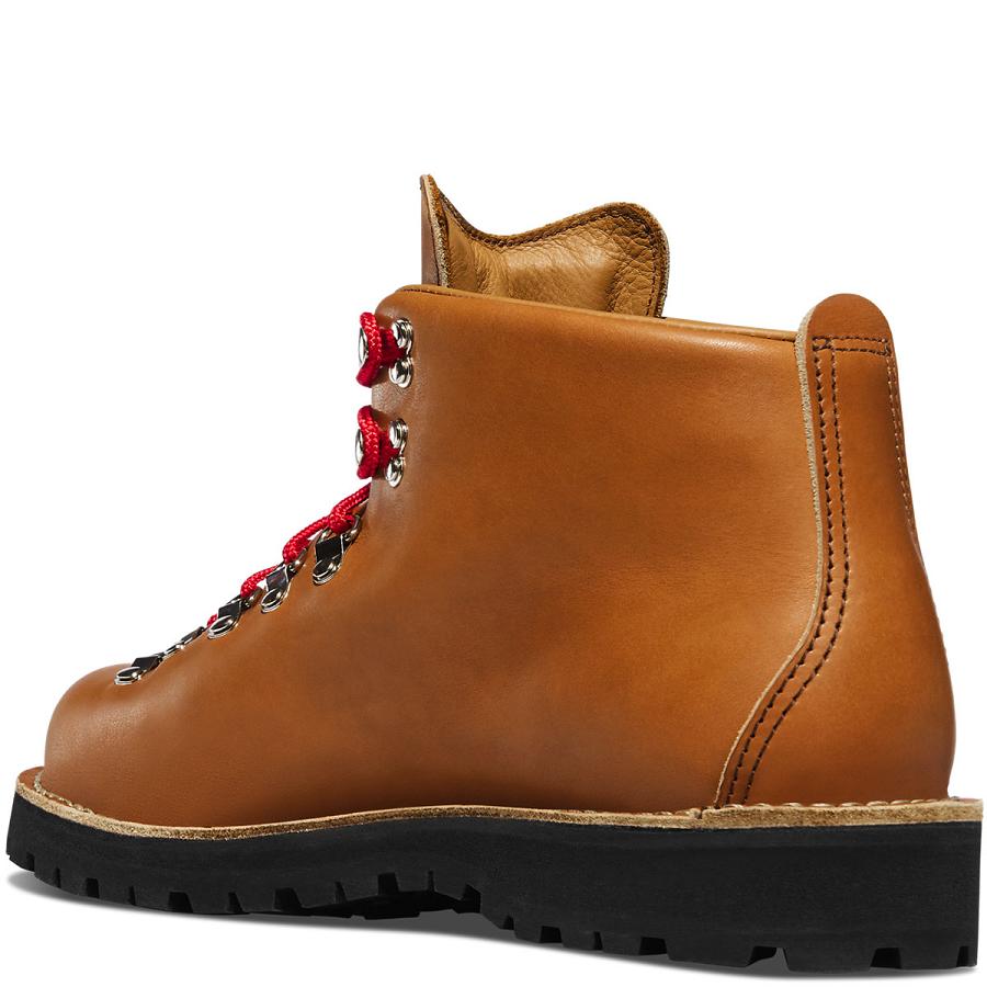 Bottes Randonnée Danner Mountain Light Cascade Homme Marron | FR1469HK