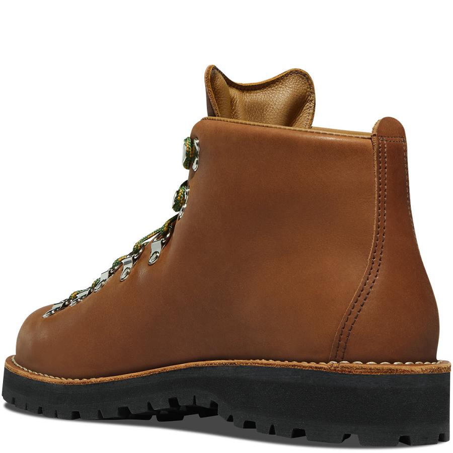 Bottes Randonnée Danner Mountain Light OR State Parks Centennial Homme Marron | FR1466DN