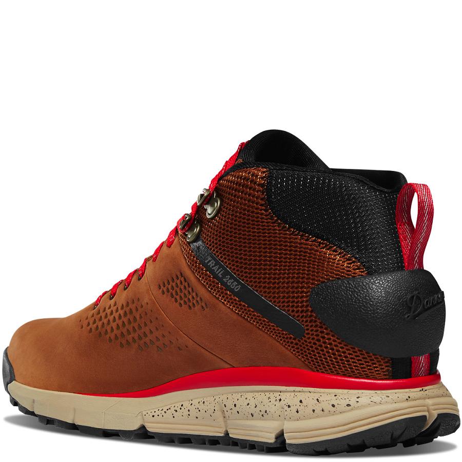 Bottes Randonnée Danner Trail 2650 Mid GTX Homme Marron Rouge | FR1458TV