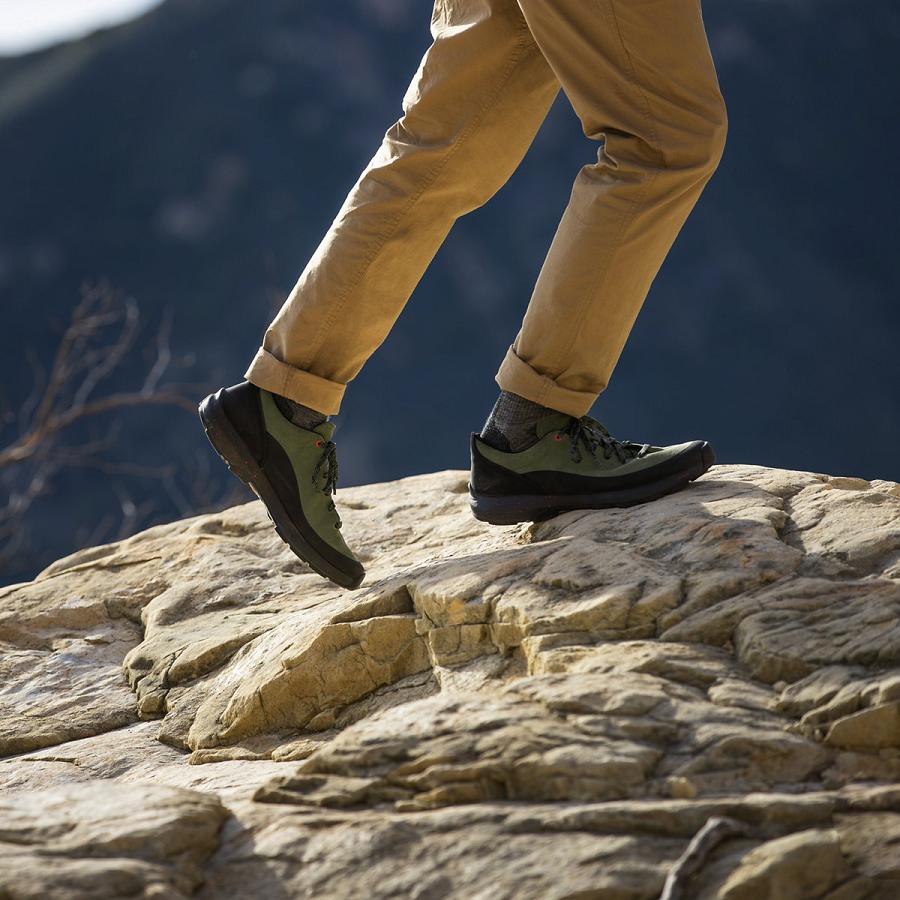 Chaussures Danner Caprine Low Daim Homme Noir Vert Olive | FR1357IS