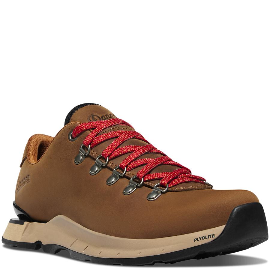 Chaussures Danner Mountain Overlook Femme Marron | FR1022AP