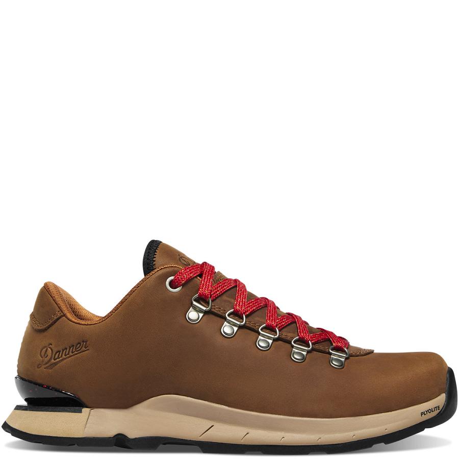 Chaussures Danner Mountain Overlook Femme Marron | FR1022AP