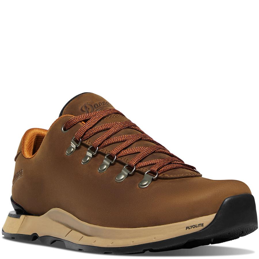 Chaussures Danner Mountain Overlook Homme Marron | FR1350QZ