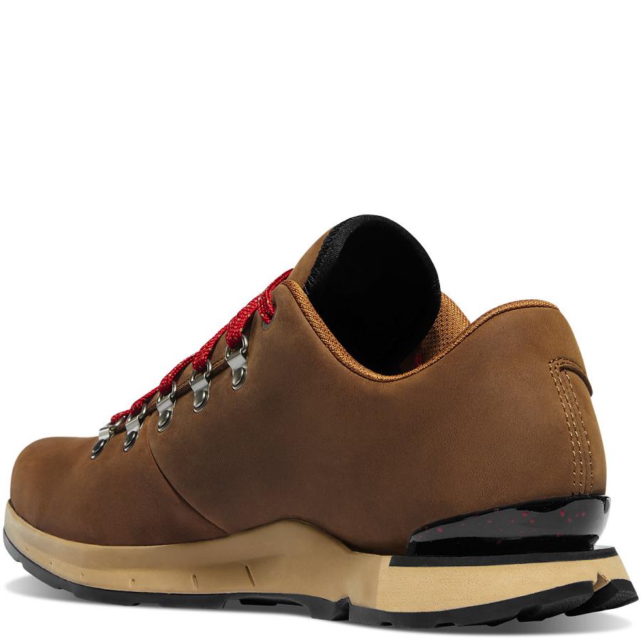 Chaussures Danner Mountain Overlook Homme Marron | FR1350QZ