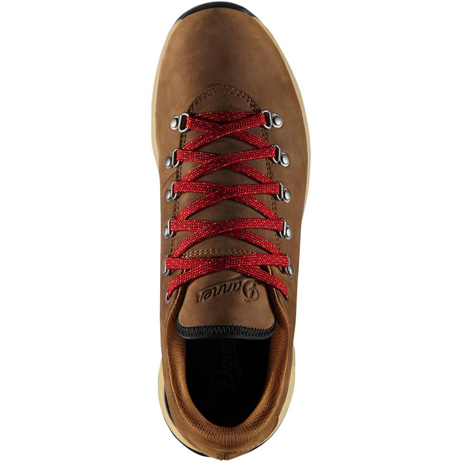 Chaussures Danner Mountain Overlook Homme Marron | FR1350QZ