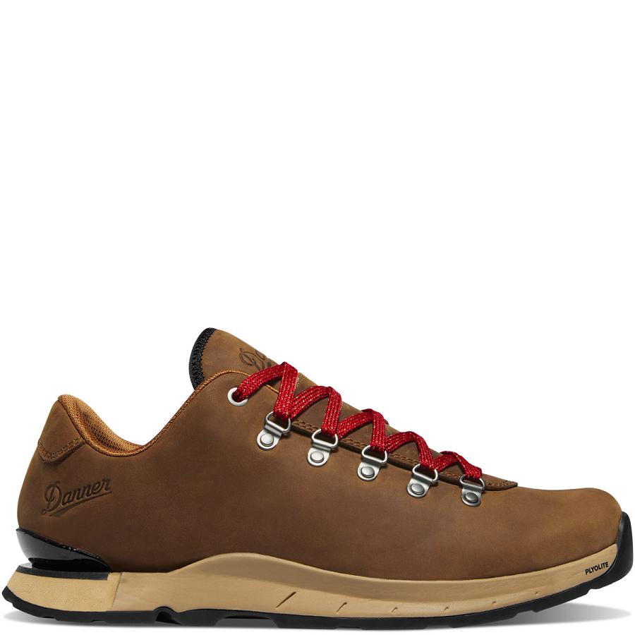 Chaussures Danner Mountain Overlook Homme Marron | FR1350QZ