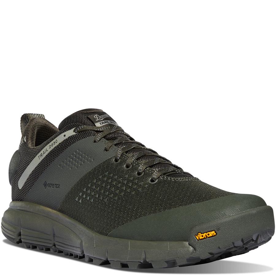 Chaussures Danner Trail 2650 Mesh GTX Homme Grise | FR1348NB