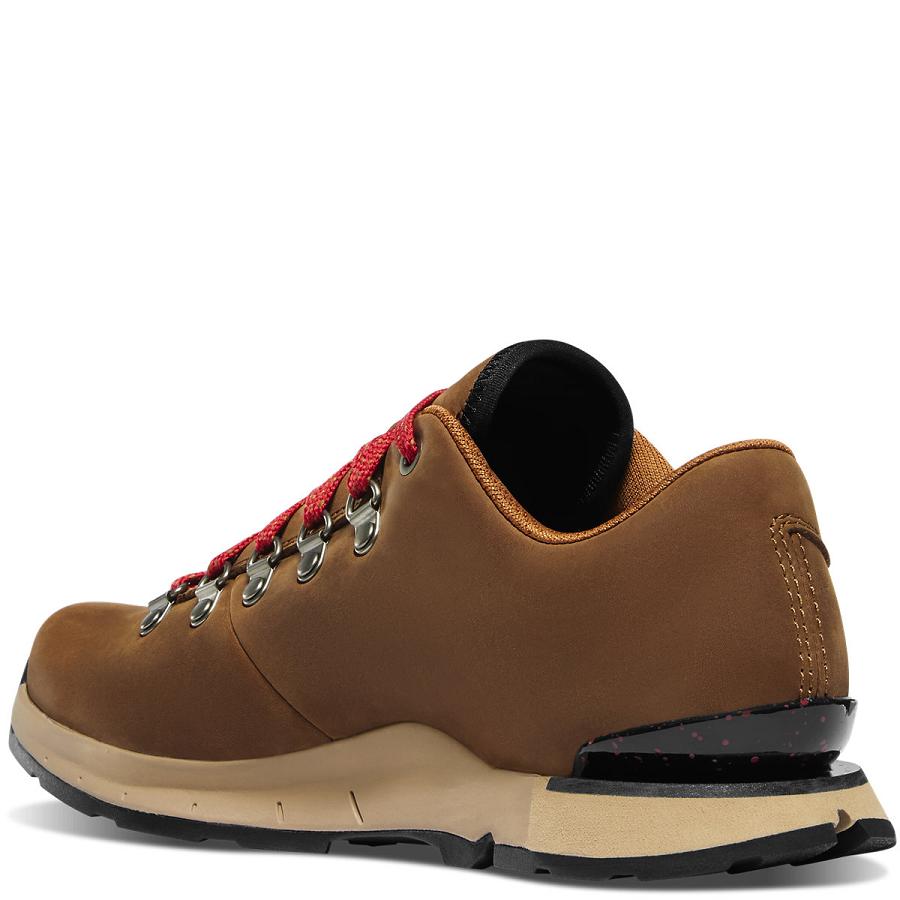 Chaussures Randonnée Danner Mountain Overlook Femme Marron | FR1042TV