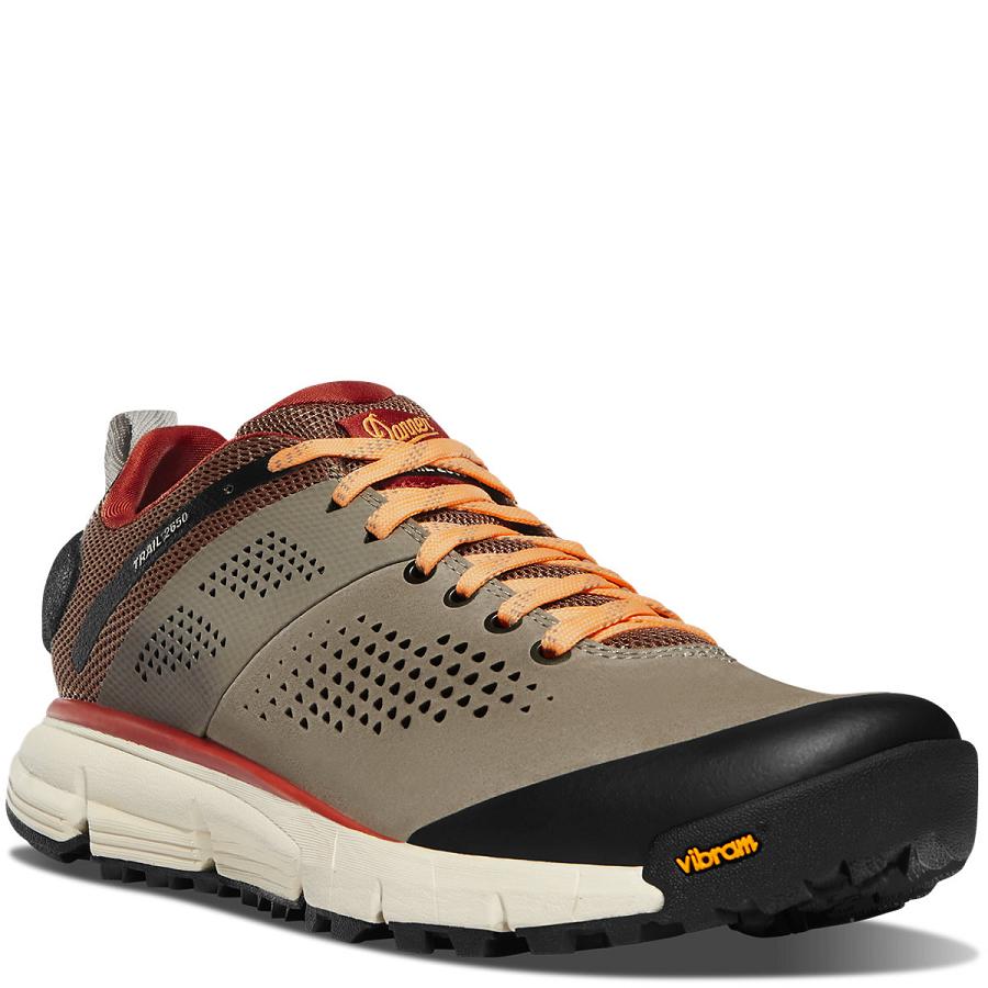 Chaussures Randonnée Danner Trail 2650 Femme Grise Marron | FR1049SO