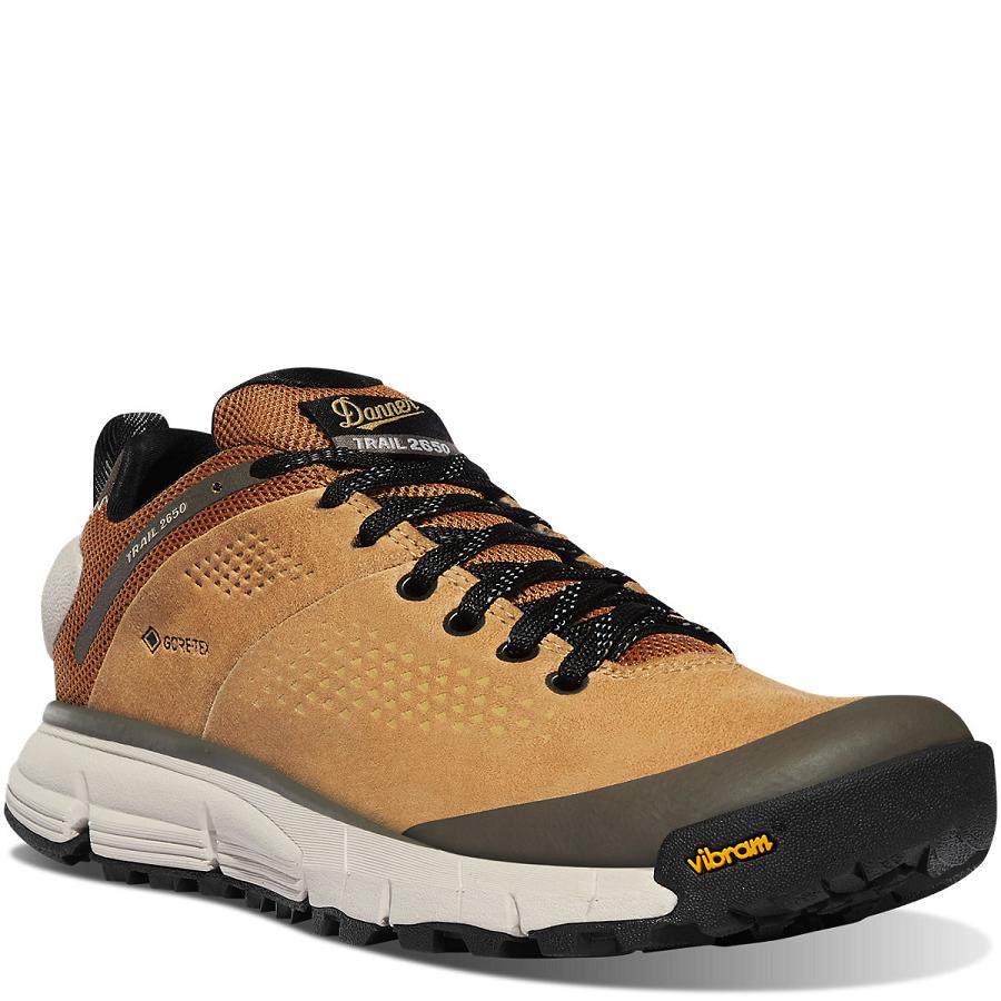 Chaussures Randonnée Danner Trail 2650 GTX Femme Marron Grise | FR1059CE