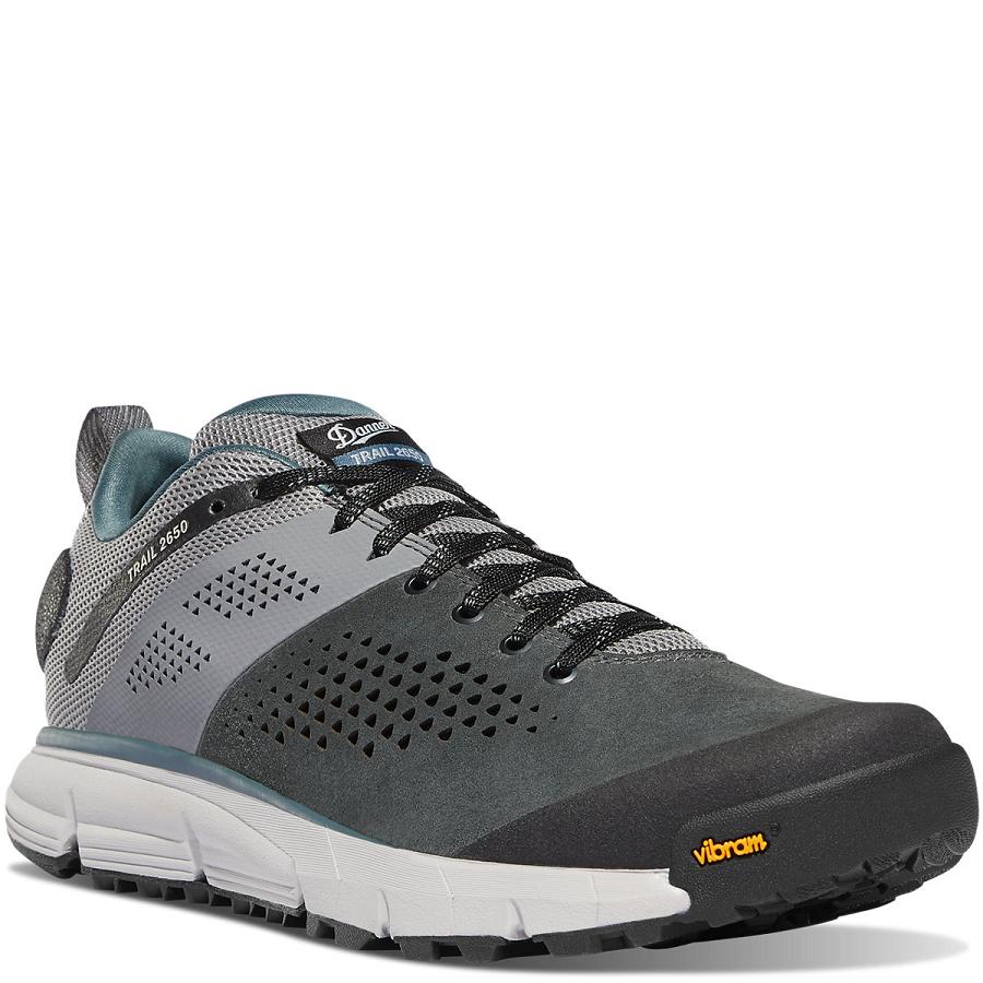 Chaussures Randonnée Danner Trail 2650 Homme Grise Bleu | FR1426NB